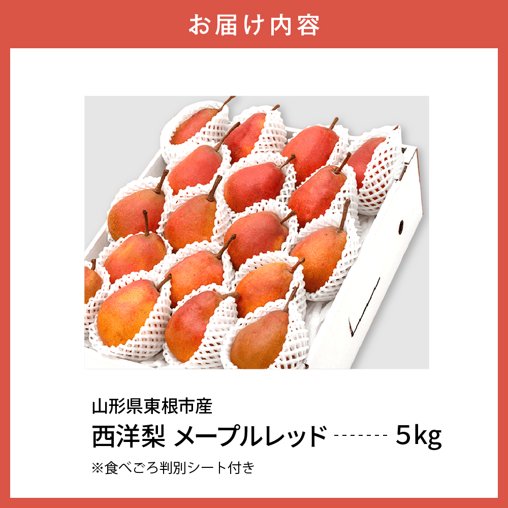 【令和6年産 先行予約】西洋梨メープルレッド５ｋｇ　秀品　化粧箱入り 山形県 東根市 東根農産センター提供 hi027-139