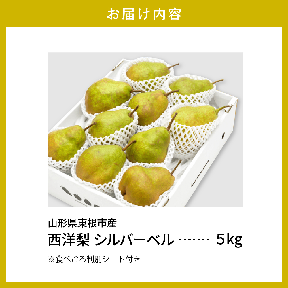 【令和6年産 先行予約】西洋梨シルバーベル５ｋｇ　秀品　化粧箱入り 山形県 東根市 東根農産センター提供 hi027-146