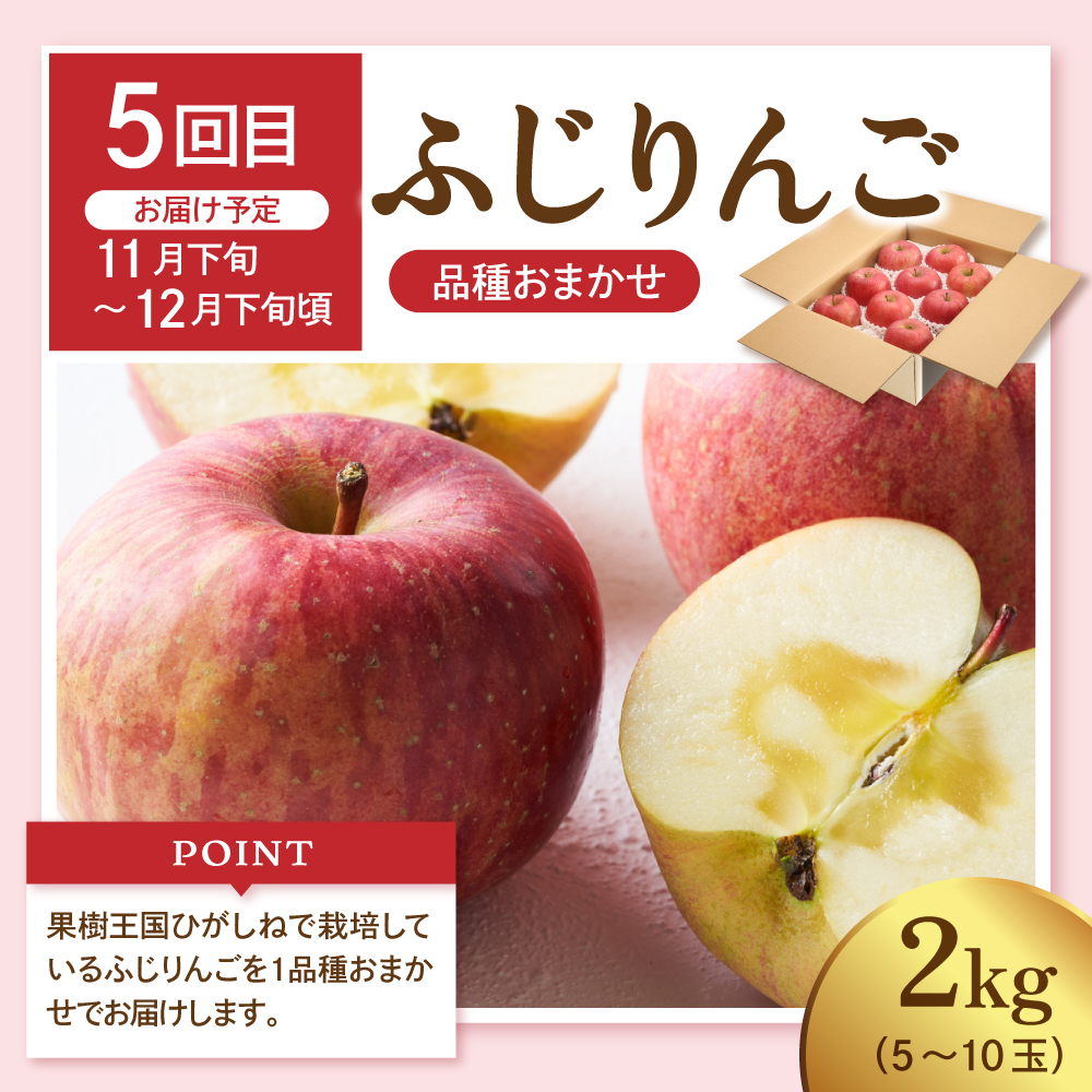 【2026年 先行予約 5回定期便】2026年 フルーツ王国 季節の主役便 千笑花夢提供 山形県 東根市 hi082-046