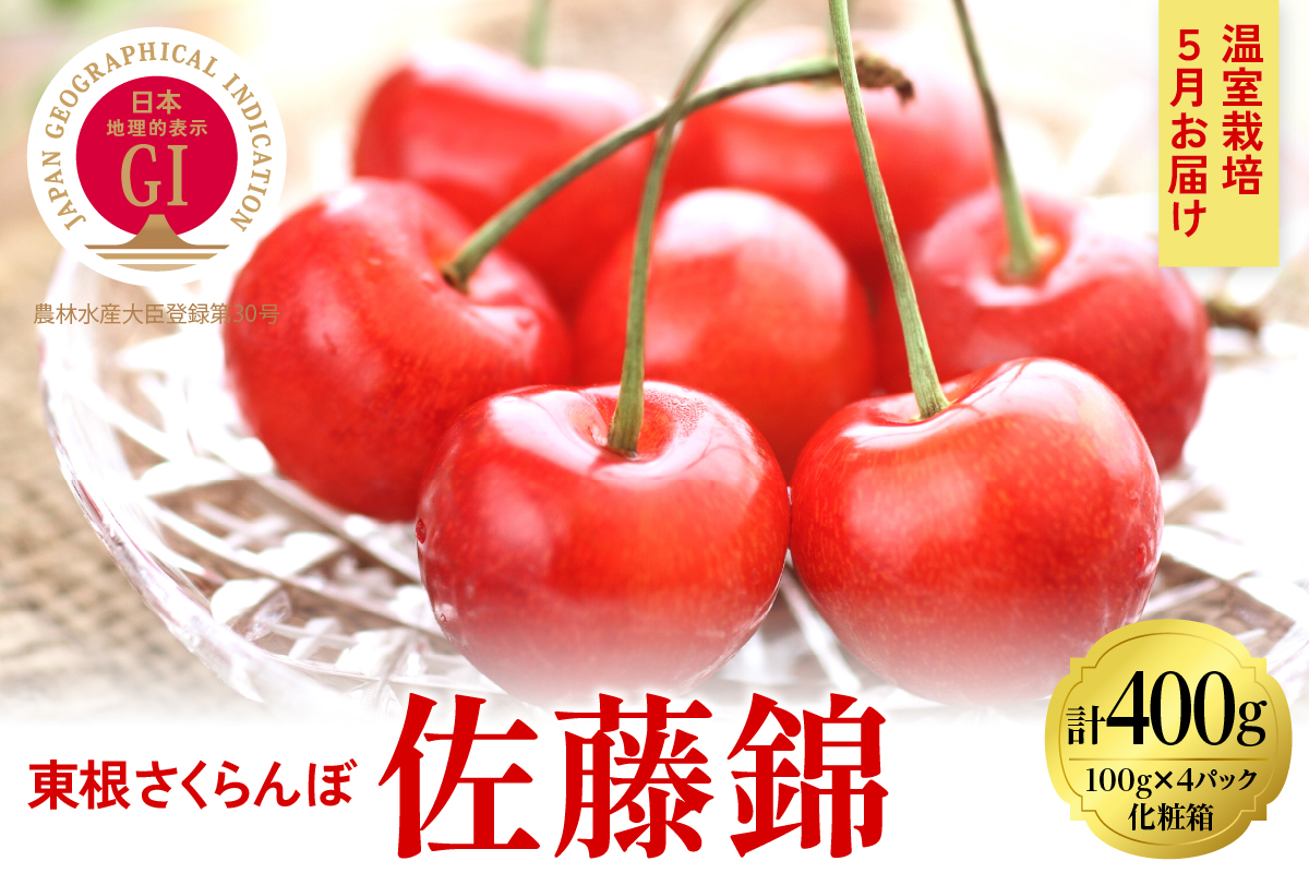 2025年【5月お届け】GI東根さくらんぼ 佐藤錦 特秀品 Lサイズ400g(100gｘ4パック入り） 山形県 東根市 　hi027-163-2