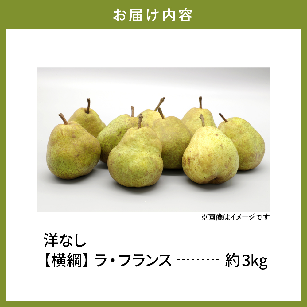 ã2026幎ç£ãæŽãªãããæšªç¶±ãã©ã»ãã©ã³ã¹ã 3kg ãã£ãŠãããã©æäŸ hi003-169