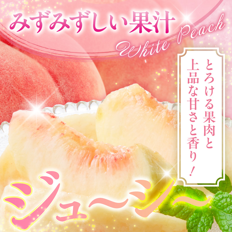 縲2026蟷エ逕」縲 謗。繧後◆縺ヲ逋ス譯(蜩∫ィョ縺贋ササ縺) 邏5kg (12ス18邇) 螻ア蠖「逵 譚ア譬ケ蟶ゅhi026-056