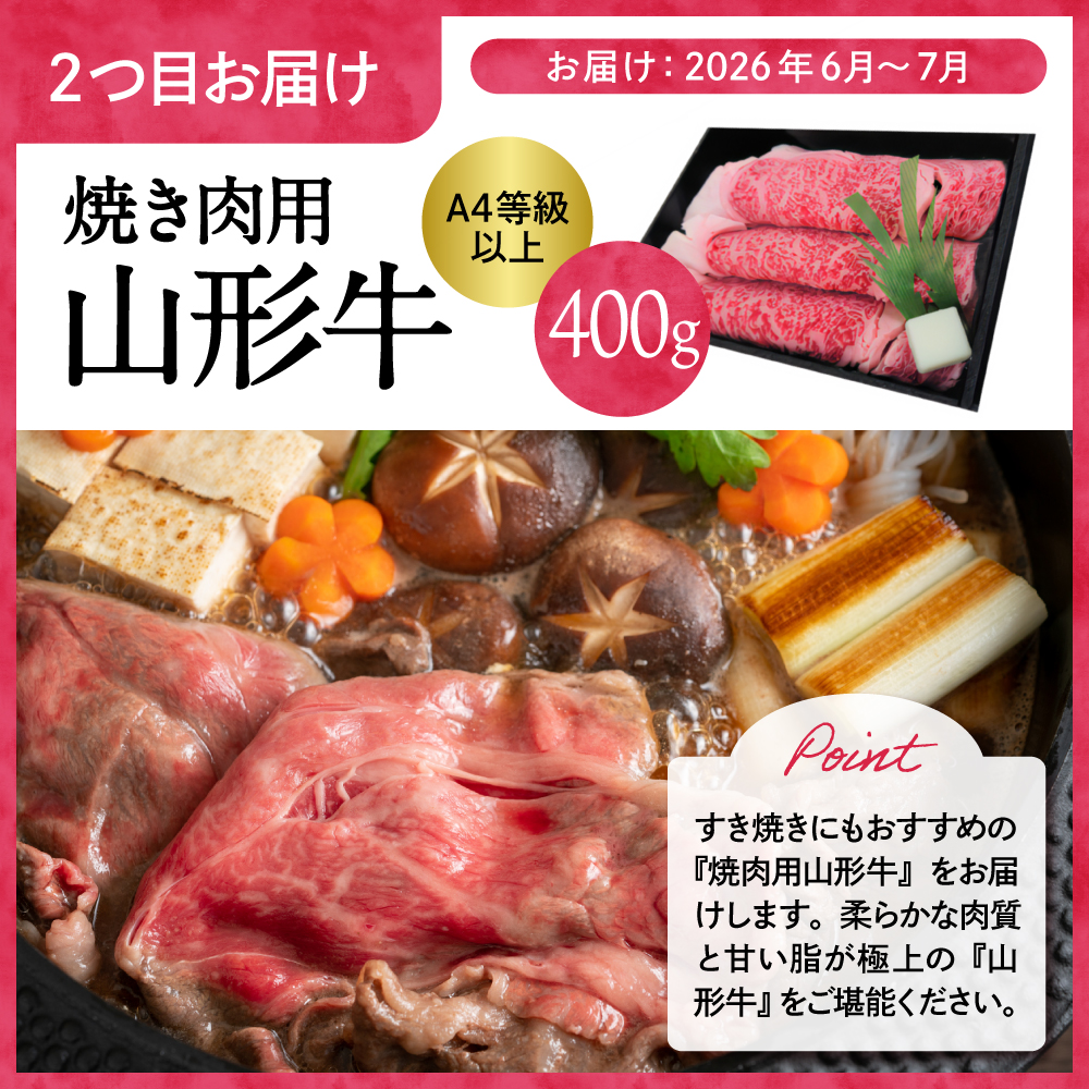 縲2026蟷エ 蜈ィ2蝗槫ョ壽悄萓ソ縲賎I 譚ア譬ケ縺輔¥繧峨s縺シ 縲御ス占陸骭ヲ縲搾シ螻ア蠖「迚帙さ繝シ繧ケ シ2026蟷エ6譛医°繧峨せ繧ソ繝シ繝茨シ栄i999-049