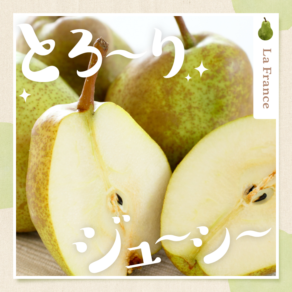 【2026年産 東根秋果実満喫セット】 サンふじ＆ラフ＆シャイン 約2.5kg 山形県 東根市 東根農産センター提供 hi027-202-r8