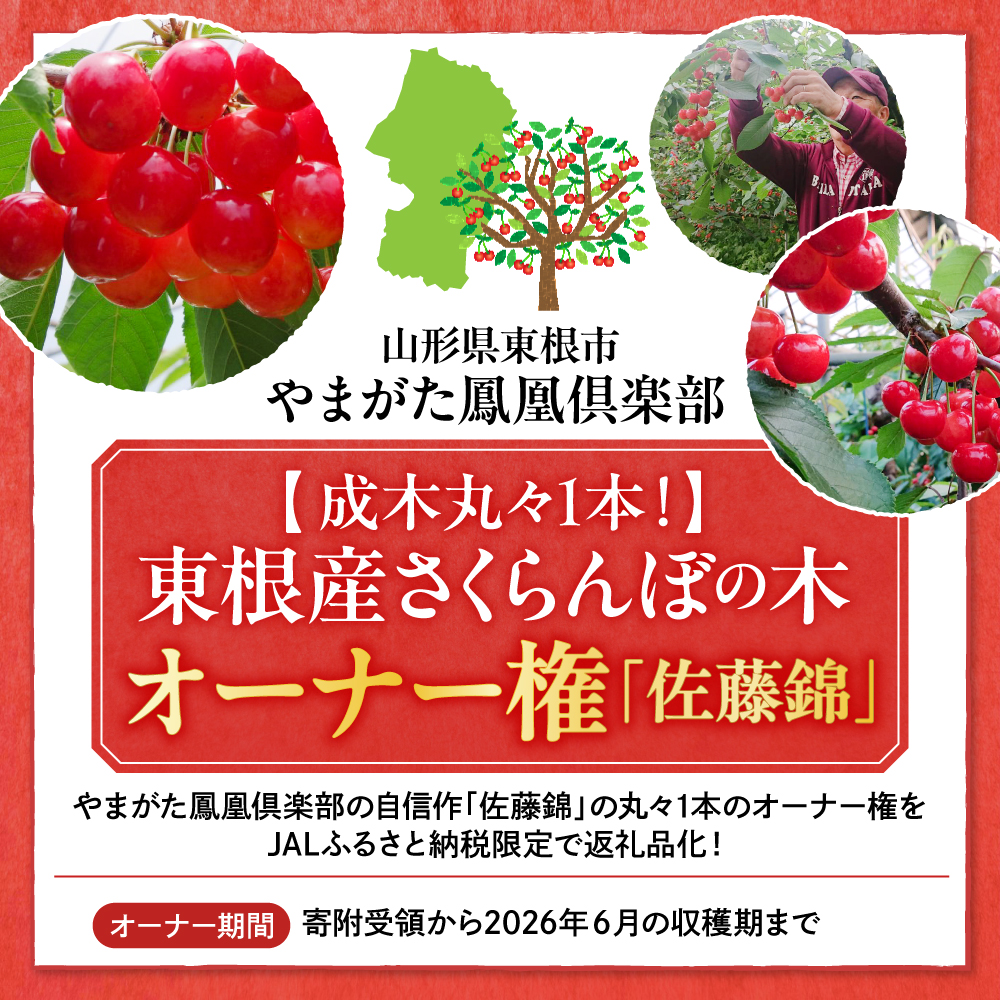 ãæ°ééå®ãJALéå®ããææšäžžã
1æ¬ïŒãæ±æ ¹ç£ãããããŒã®æš ãªãŒããŒæš©ãäœè€éŠã å±±åœ¢ç æ±æ ¹åž hi081-002