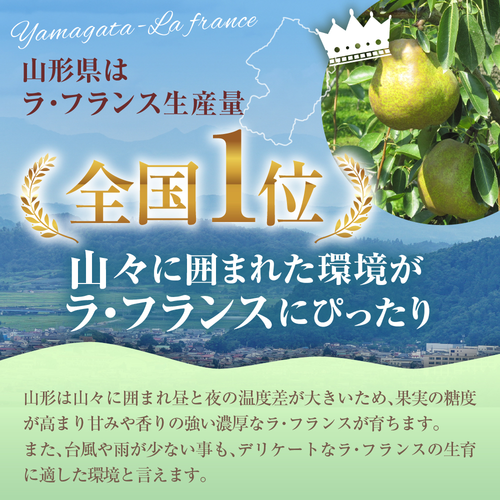 縲蝉サ、蜥8蟷エ逕」 蜈郁。御コ育エ縲大アア蠖「繧サ繝ャ繧ッ繧キ繝ァ繝ウ縲繝ゥ繝サ繝輔Λ繝ウ繧ケ 5kg 螻ア蠖「逵 譚ア譬ケ蟶 hi069-018