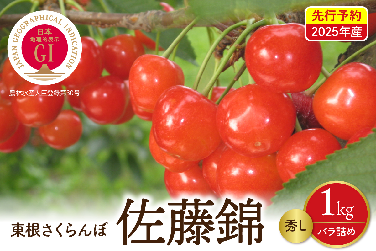 【先行予約】2025年産 GI東根さくらんぼ佐藤錦 秀L 1kgバラ詰め(500g×2P) 株式会社晴天畑提供 hi026-002-2