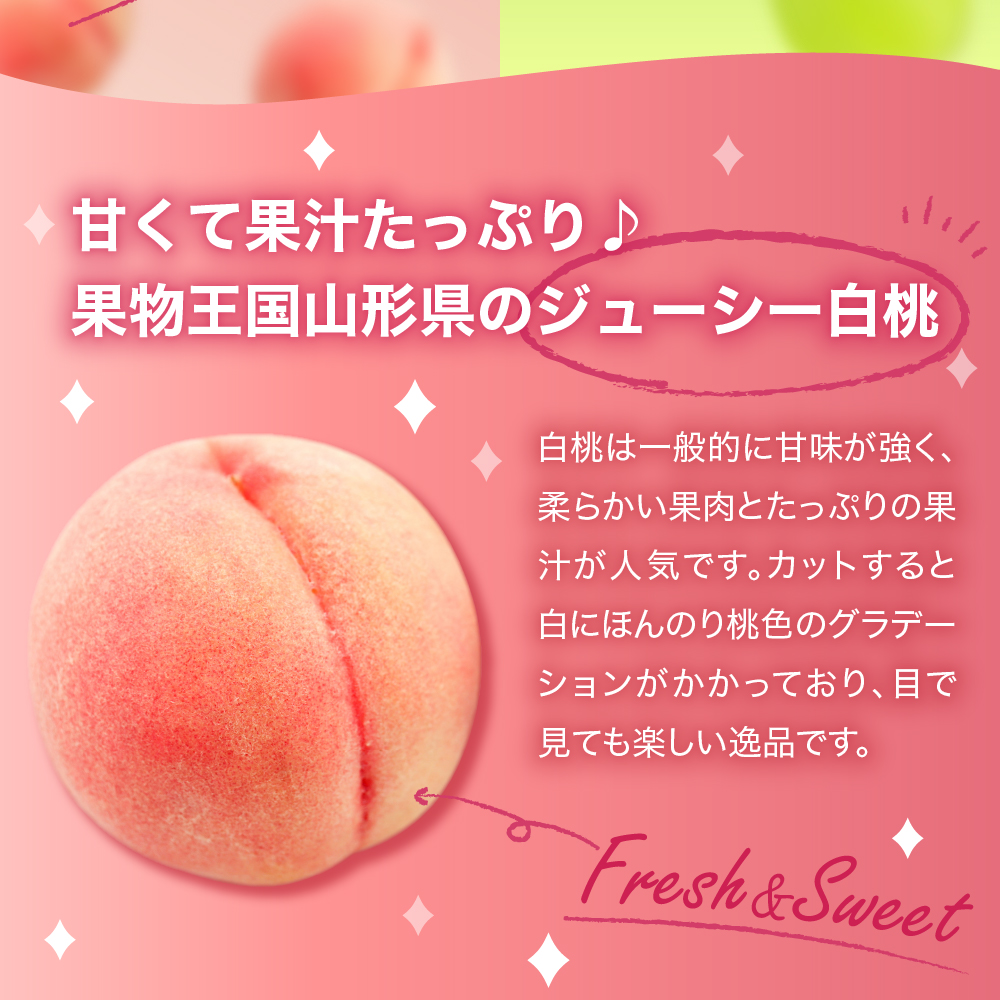 【2026年】東根市産 白桃（品種おまかせ）＆シャインマスカット 詰め合わせ 秀品 化粧箱入り 2kg 山形県 東根市 hi027-243