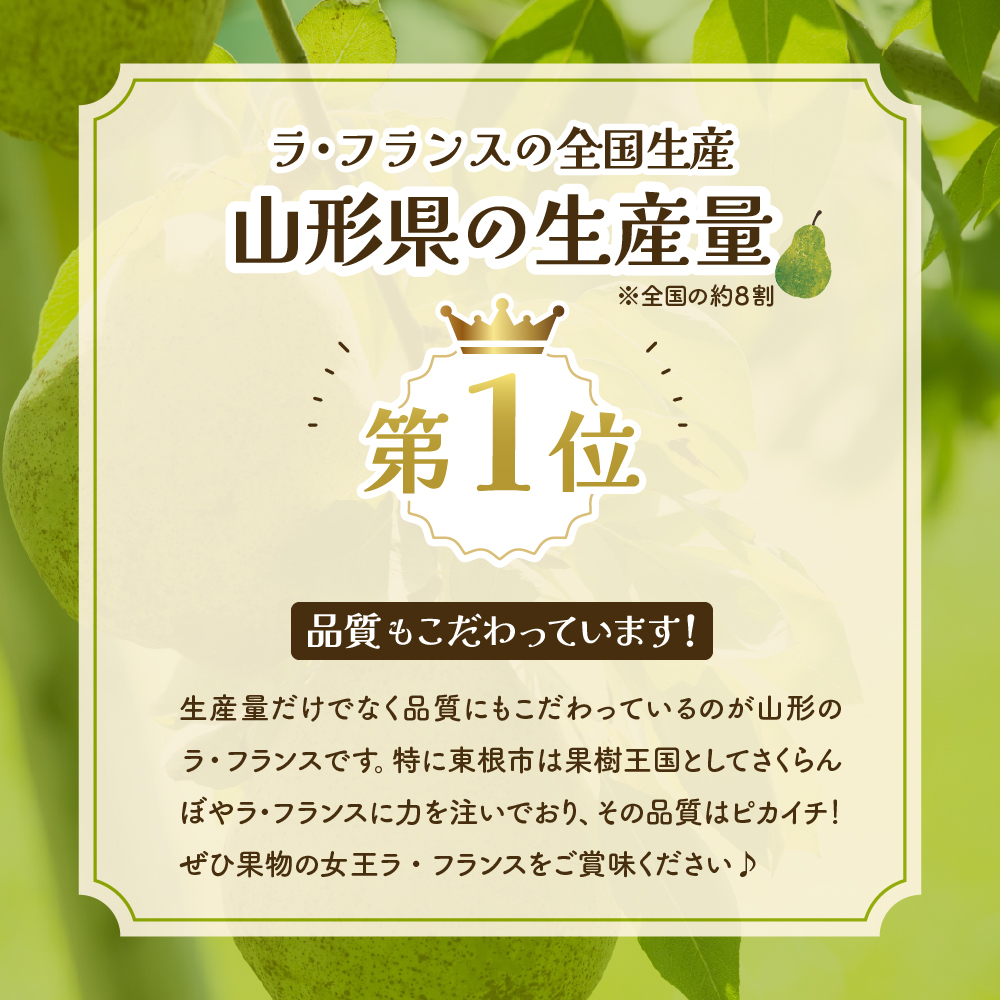 【2025年11月以降お届け】　ラ・フランス＆りんご　2回定期便 山形県 東根市　hi003-142-2