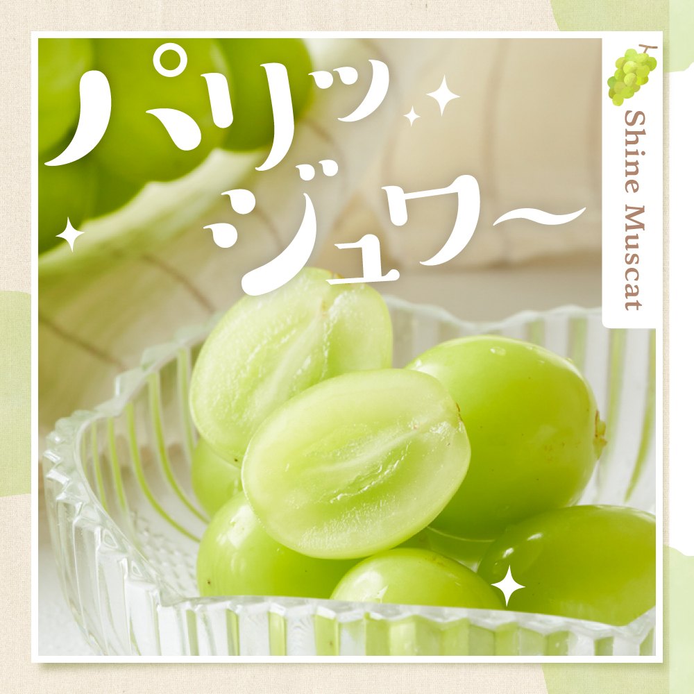 【2026年産 東根秋果実満喫セット】 サンふじ＆ラフ＆シャイン 約2.5kg 山形県 東根市 東根農産センター提供 hi027-202-r8