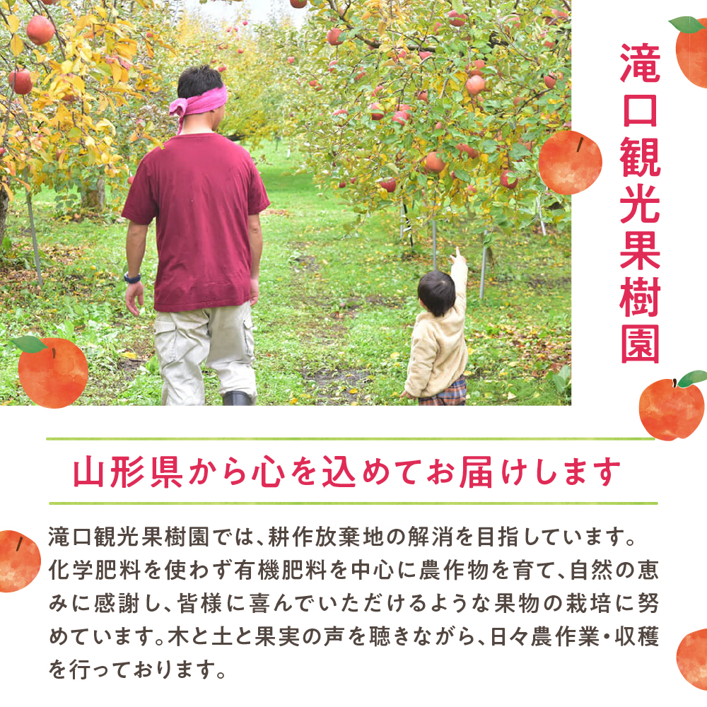 １００％ジュースセット（４本)）【滝口観光果樹園】　hi004-hi030-011r