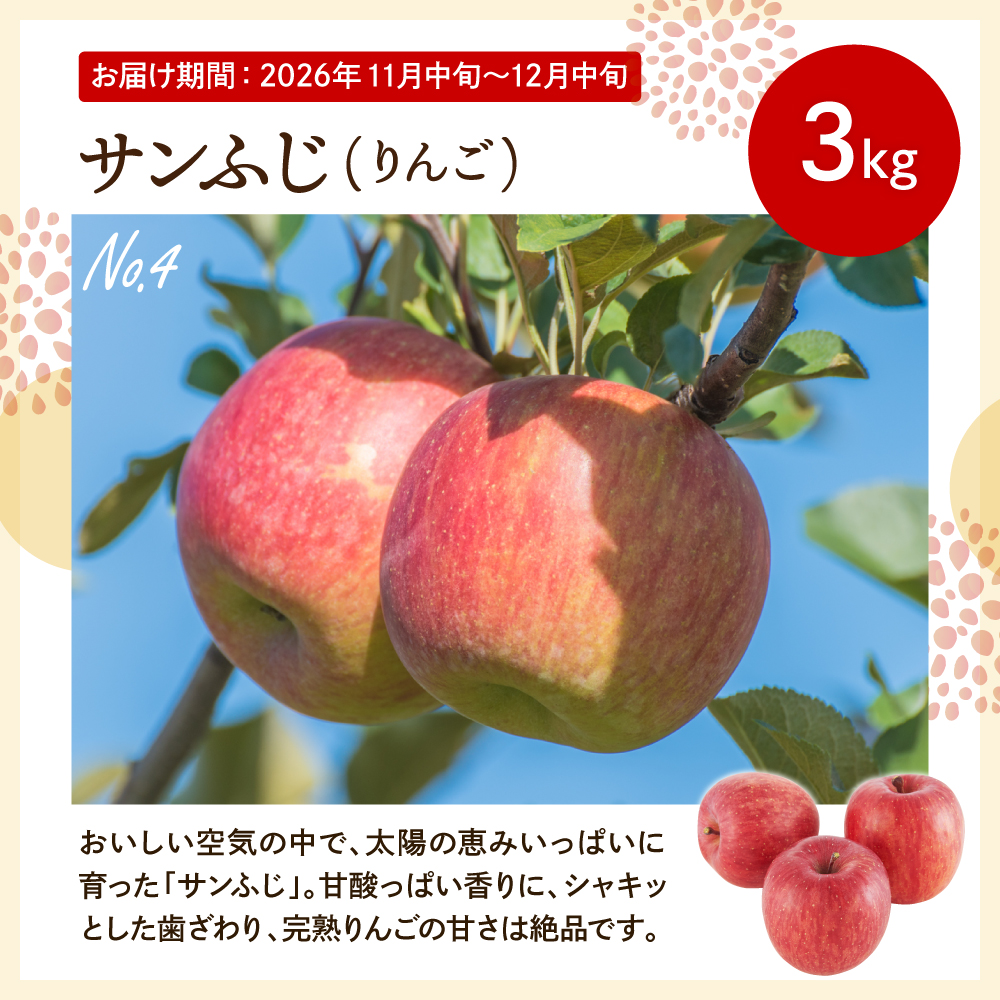 【4回定期便】(2026年10月スタート) 強力タッグコース秋季分 山形県 東根市 hi999-050