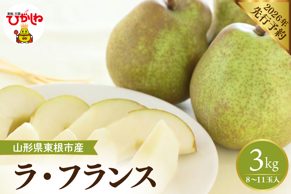 【2026年産先行予約】 フルーツの女王「ラ・フランス」 約3kg(8～11玉)山形県 東根市　hi026-059