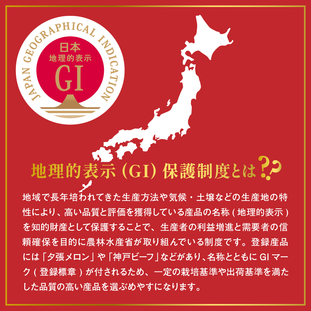 2026年 GI東根さくらんぼ「紅秀峰」500gバラ詰め 秀品 Lサイズ 東根農産センター提供 山形県 東根市 hi027-228