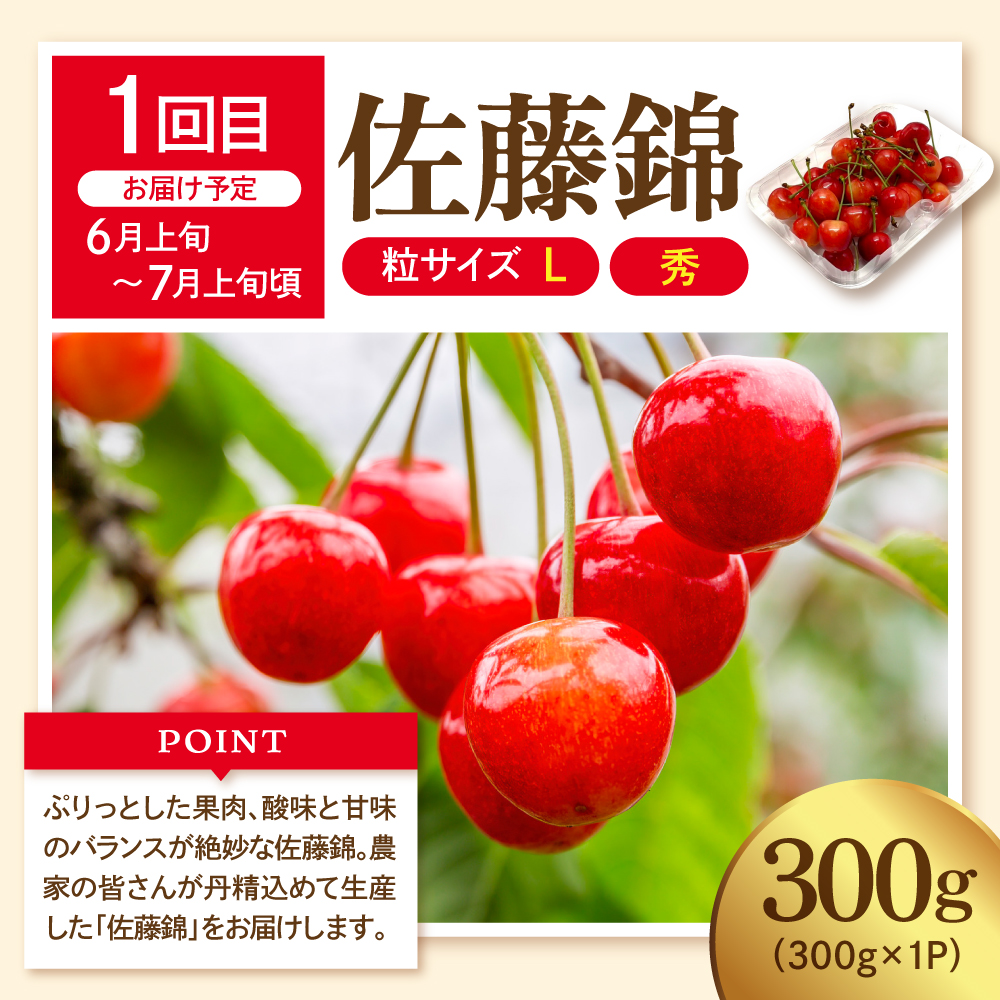 【2026年 先行予約 3回定期便】2026年 フルーツ王国 三大人気定期便 千笑花夢提供 山形県 東根市 hi082-041