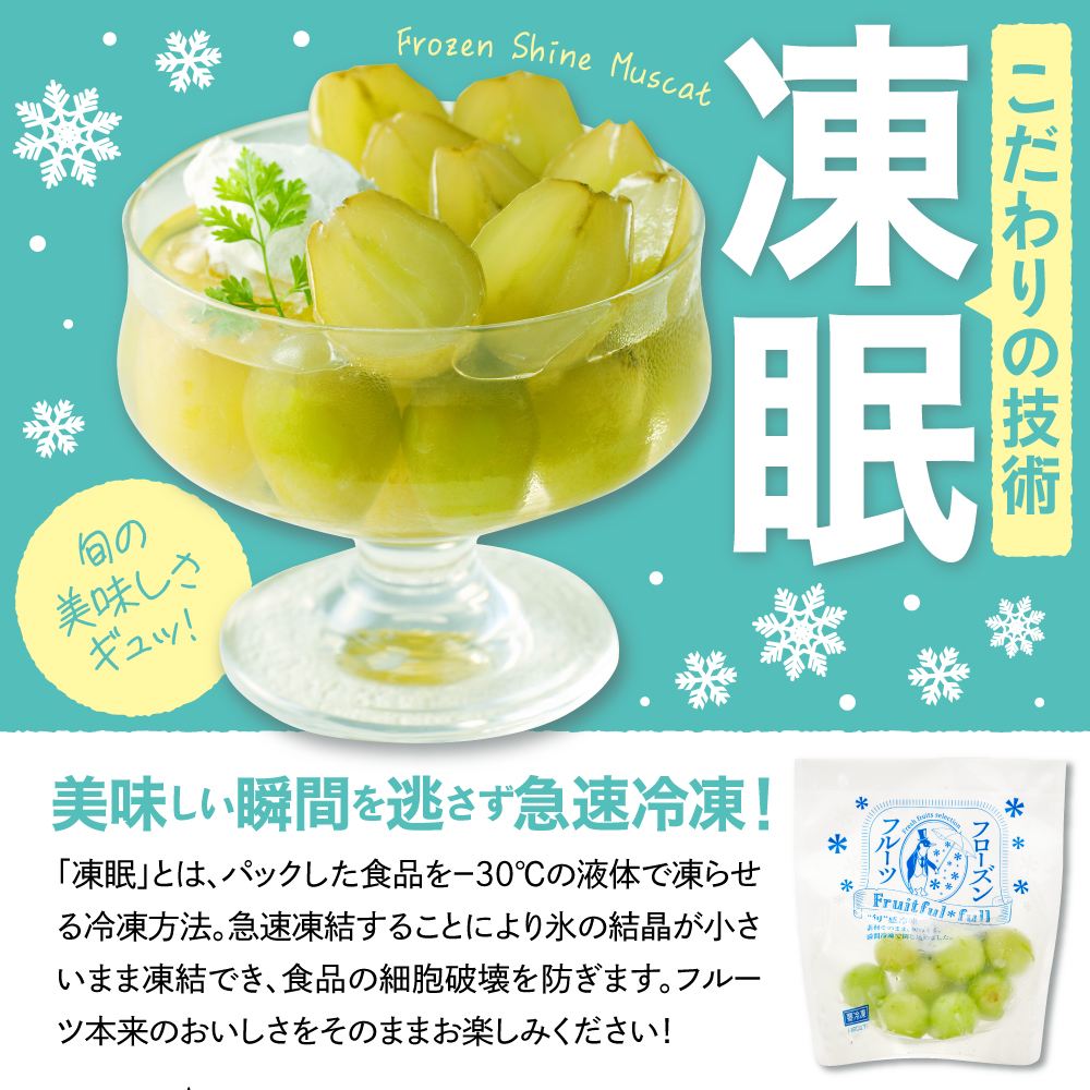 【急速冷凍】東根市産 シャインマスカット 500g 東根農産センター提供 hi027-246