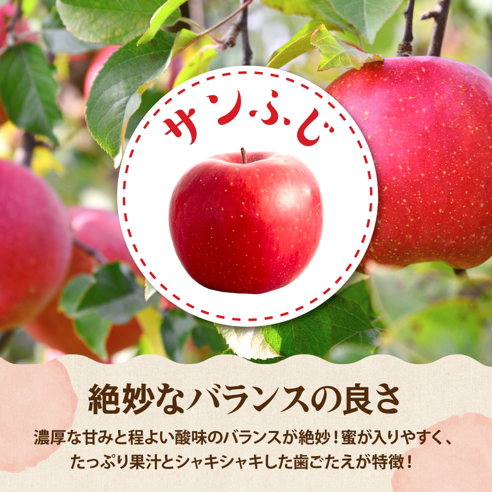 【2026年産】サンふじ&ラフランス 詰め合わせ 3kg 秀品 化粧箱入り 山形県 東根市 東根農産センター提供 hi027-210-r8