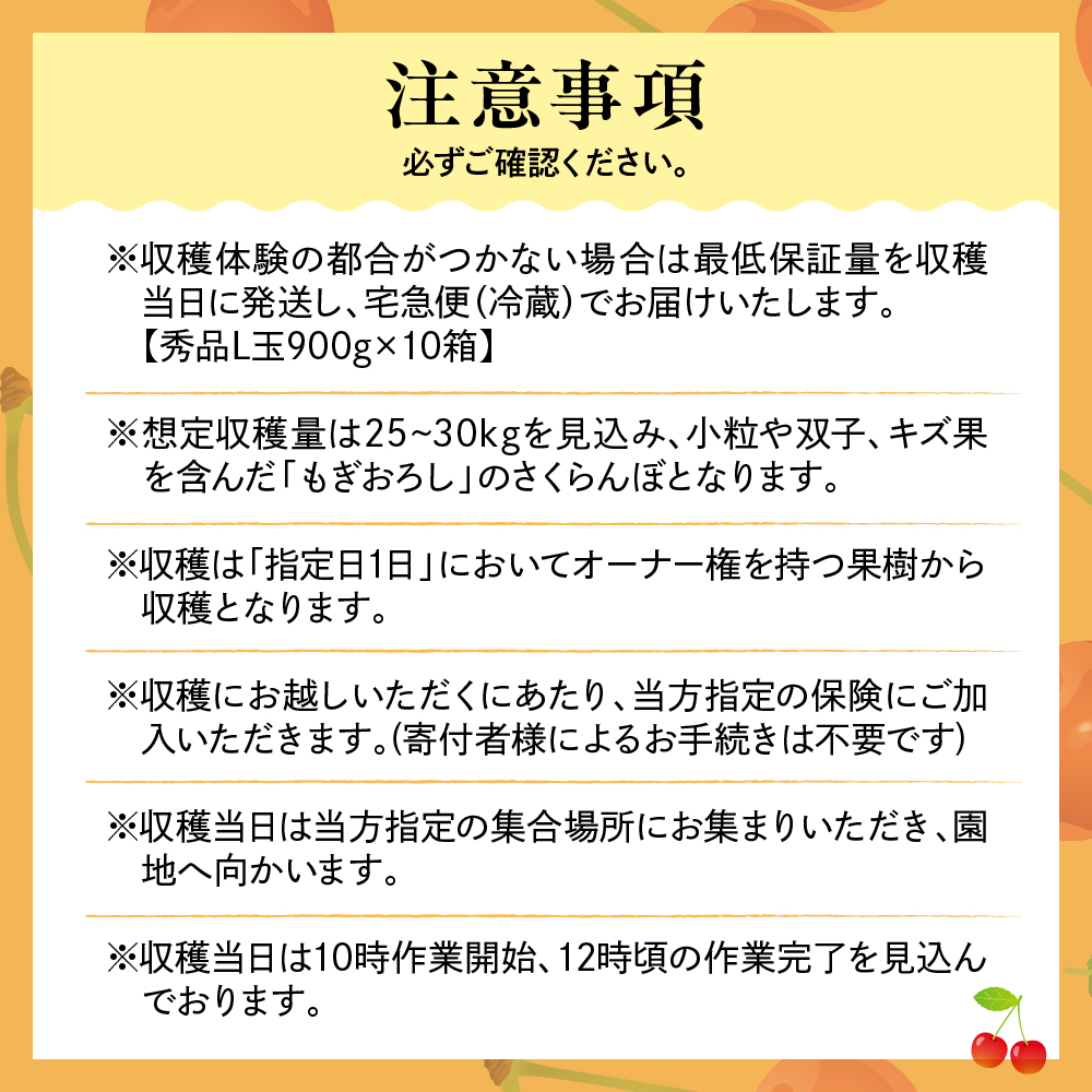 【成木丸々1本！】東根産さくらんぼの木 オーナー権「佐藤錦」 山形県 東根市 hi081-001