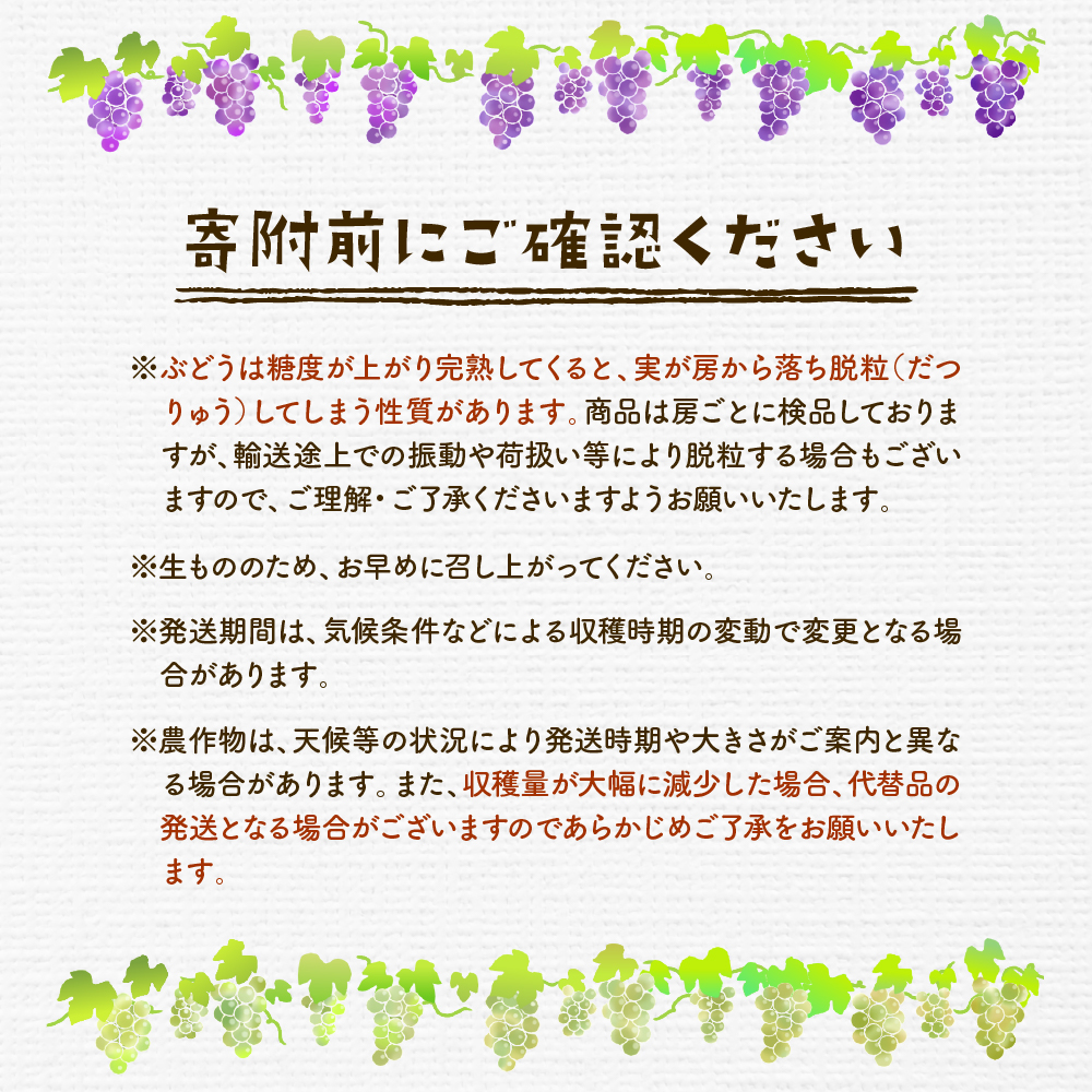 2026年産 シャインマスカット 5kg（5-10房） 秀品 山形県 東根市　hi082-060