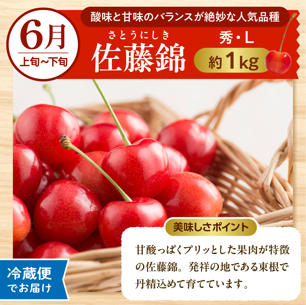 【2025年先行予約】晴天の恵み！ひがしねフルーツ祭定期便！全7回 (2025.6月中旬からスタート) 山形県 東根市 hi026-004-2