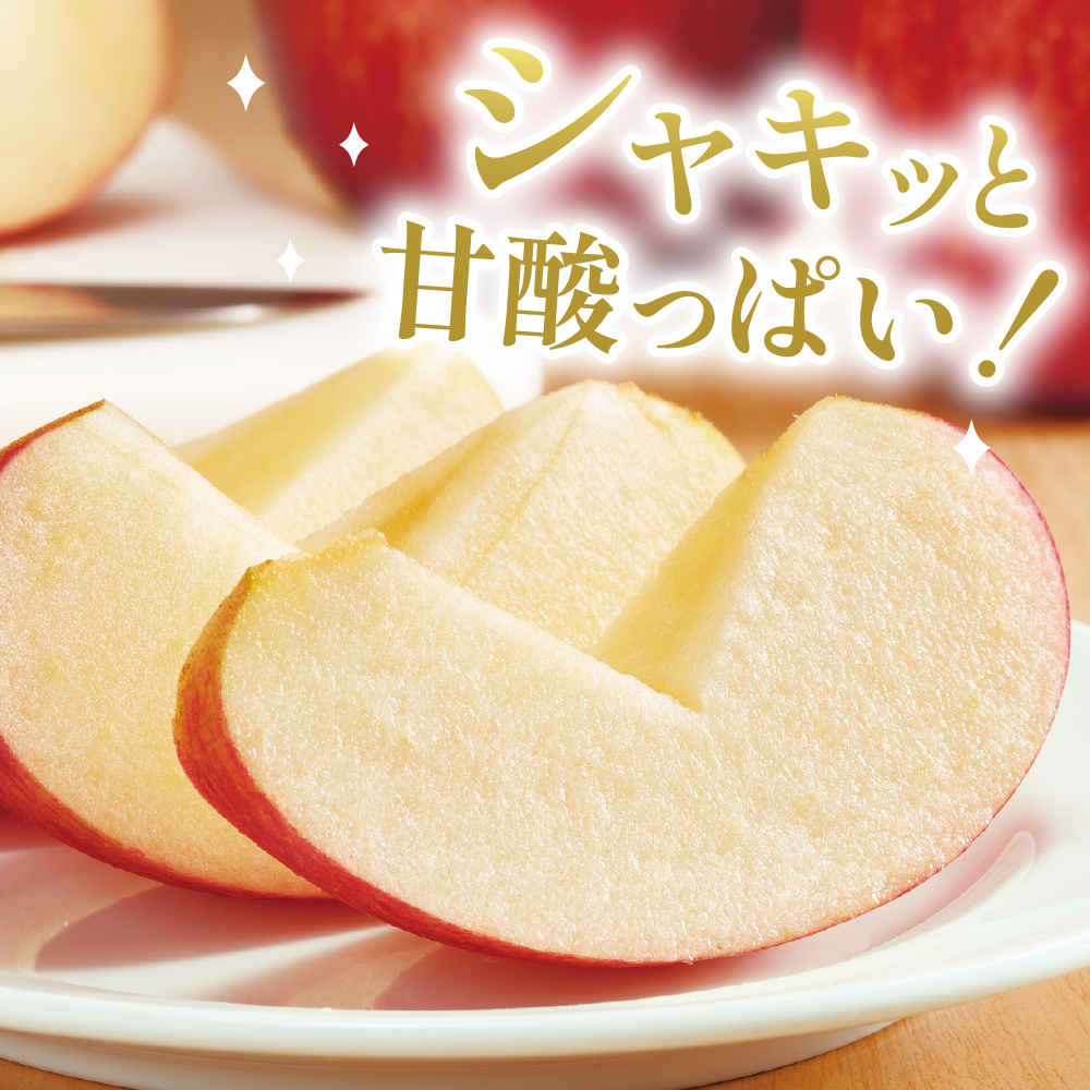 【2024年産 先行予約】 りんご「サンふじ」2kg JA提供　hi003-112