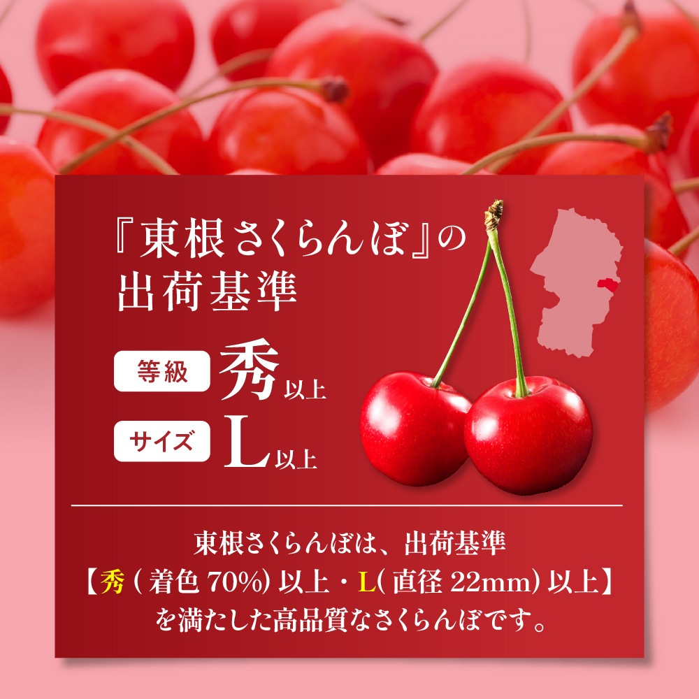 2026年 GI東根さくらんぼ「佐藤錦」500gバラ詰め 秀品 Lサイズ 東根農産センター提供 山形県 東根市 hi027-220