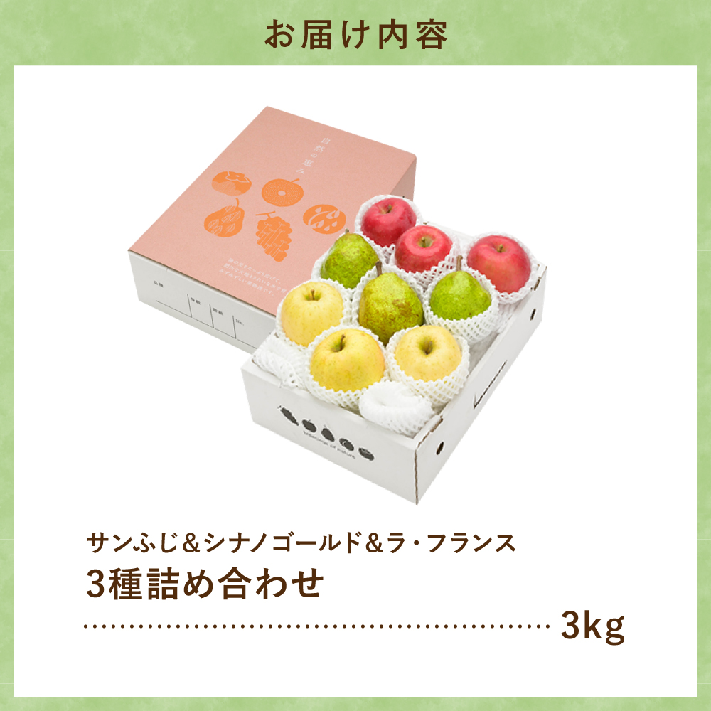 縲2026蟷エ逕」縲代し繝ウ縺オ縺&繧キ繝翫ヮ繧エ繝シ繝ォ繝会シ繝ゥ繝輔Λ繝ウ繧ケ 隧ー繧∝粋繧上○ 3kg 遘蜩 蛹也イァ邂ア蜈・繧 螻ア蠖「逵 譚ア譬ケ蟶 譚ア譬ケ霎イ逕」繧サ繝ウ繧ソ繝シ謠蝉セ hi027-212-r8