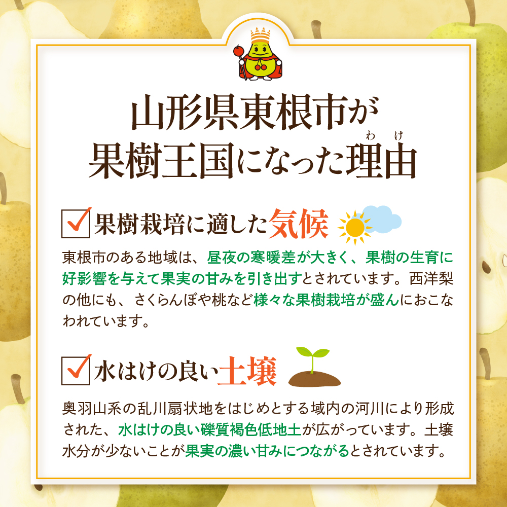 【2026年産 5回定期便】西洋梨食べ尽くし定期便 山形県 東根市 東根農産センター提供 hi027-201-r8