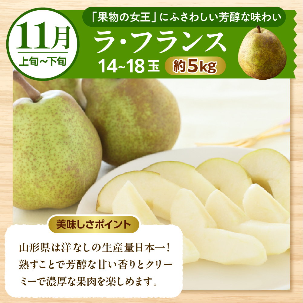 【2025年先行予約】晴天の恵み！ひがしねフルーツ祭定期便！全7回 (2025.6月中旬からスタート) 山形県 東根市 hi026-004-2