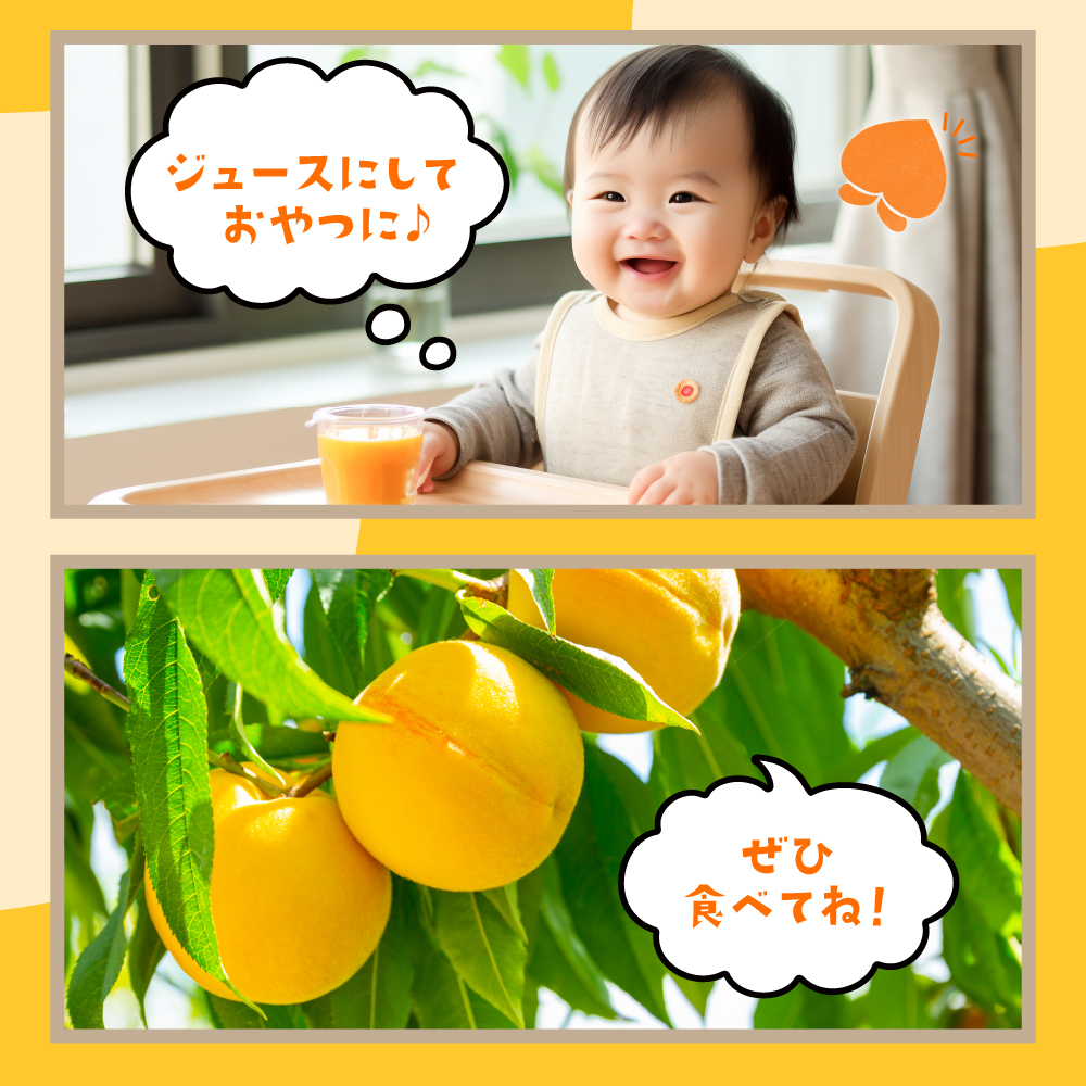 ã2026å¹Žç£ å
è¡äºçŽã 黿¡ (åçš®ããŸãã) 3kg ç§å åç²§ç®±å
¥ã æ±æ ¹èŸ²ç£ã»ã³ã¿ãŒæäŸ å±±åœ¢ç æ±æ ¹åž hi027-261