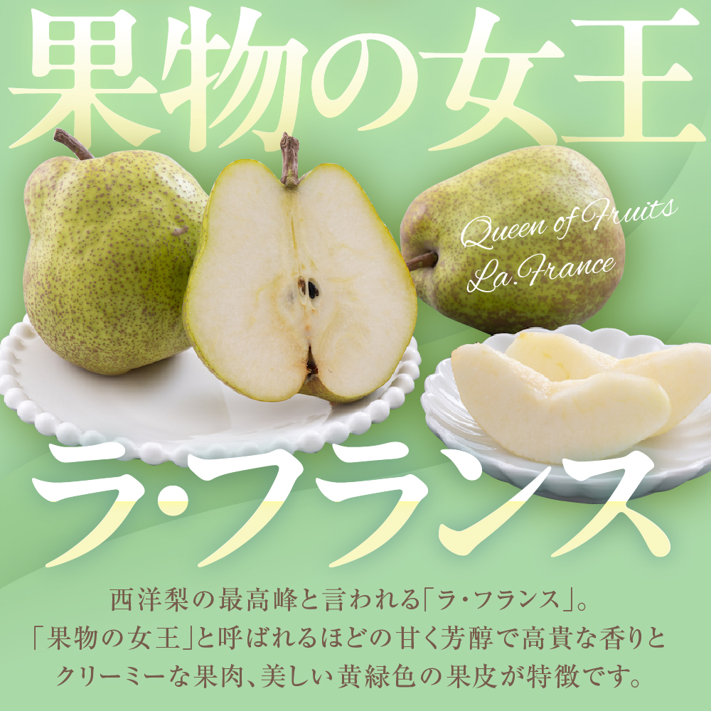 縲蝉サ、蜥8蟷エ逕」 蜈郁。御コ育エ縲代Λ繝サ繝輔Λ繝ウ繧ケ 螳カ蠎ュ逕ィシ郁ィウ縺ゅjシ3kg 螻ア蠖「逵 譚ア譬ケ蟶 hi069-019