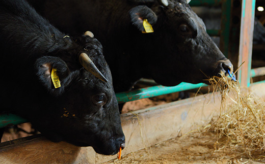 【簡易包装】尾花沢牛 100%ハンバーグ 110g×20個入り 計2200g 黒毛和牛100％ ビーフハンバーグ 湯煎 温めるだけ 国産 黒毛和牛 nj-oghmk2200