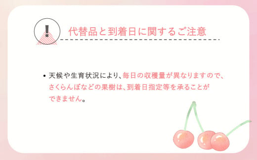 先行予約 加温 さくらんぼ 佐藤錦 特秀Lサイズ 24粒 150g