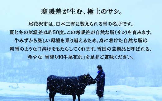 尾花沢牛肉まつり焼肉セット ロース・カタ・モモ・カルビ 650g 雪降り和牛尾花沢 山形牛 国産牛 黒毛和牛 雪降り和牛 肉 お肉 ブランド牛 焼肉 焼き肉 食べ比べ 冷凍 高級 贅沢 バーベキュー 送料無料 ja-yomyx650