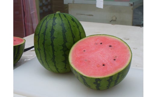 タネまで食べられる小玉スイカ  ピノガール (約2~2.5kg)×4玉 7月中旬〜8月上旬頃発送 尾花沢産 スイカ すいか 西瓜 令和8年産 2026年産 観光物産 kb-supgx4