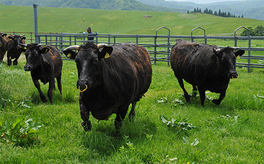 【簡易包装】尾花沢牛 100%ハンバーグ 110g×7個入り 計770g 黒毛和牛100％ ビーフハンバーグ 湯煎 温めるだけ 国産 黒毛和牛 nj-oghmk770