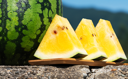 先行予約 尾花沢産スイカ 赤玉×黄玉 各1玉セット 金色羅皇 こんじきらおう 羅皇ザ・スイート 4Lサイズ 約9kg×計2玉 7月下旬～8月中旬頃発送 令和8年産 2026年産 尾花沢産 kb-suks42