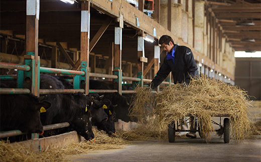 【簡易包装】尾花沢牛 100%ハンバーグ 110g×4個入り 計440g 黒毛和牛100％ ビーフハンバーグ 湯煎 温めるだけ 国産 黒毛和牛 nj-oghmk440