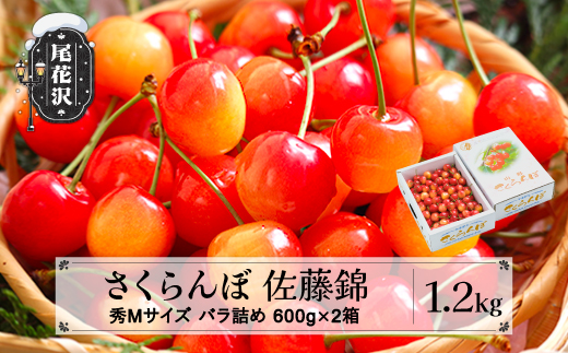 先行予約 さくらんぼ 佐藤錦 秀Mサイズ 1.2kg(600g×2箱) バラ詰め 2026年産 令和8年産 山形県産 ns-snsmb1200