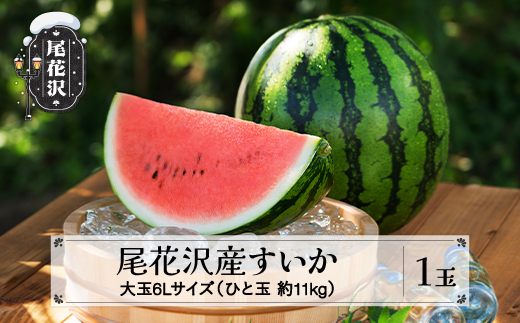 先行予約 尾花沢産すいか 6Lサイズ 約11kg×1玉 7月中旬〜8月中旬頃発送 令和7年産 2025年産 すいか スイカ 西瓜 フルーツ 果物 産地直送 農産加工 ※沖縄・離島への配送不可 nk-su6xx1