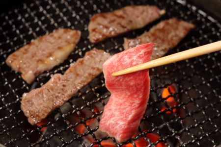 尾花沢牛肉まつりプチ贅沢焼肉セット　ロース・カタ・モモ・カルビ　500g　(295A)