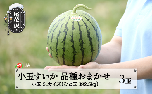 先行予約 尾花沢産小玉すいか 品種おまかせ ひとりじめ もしくは ピノガール 3Lサイズ 約2.5kg×3玉 7月中旬〜7月下旬頃発送 2026年産 令和8年産 小玉 すいか スイカ 西瓜 果物 フルーツ 産地直送 山形県 尾花沢市 JA ja-suk3x3