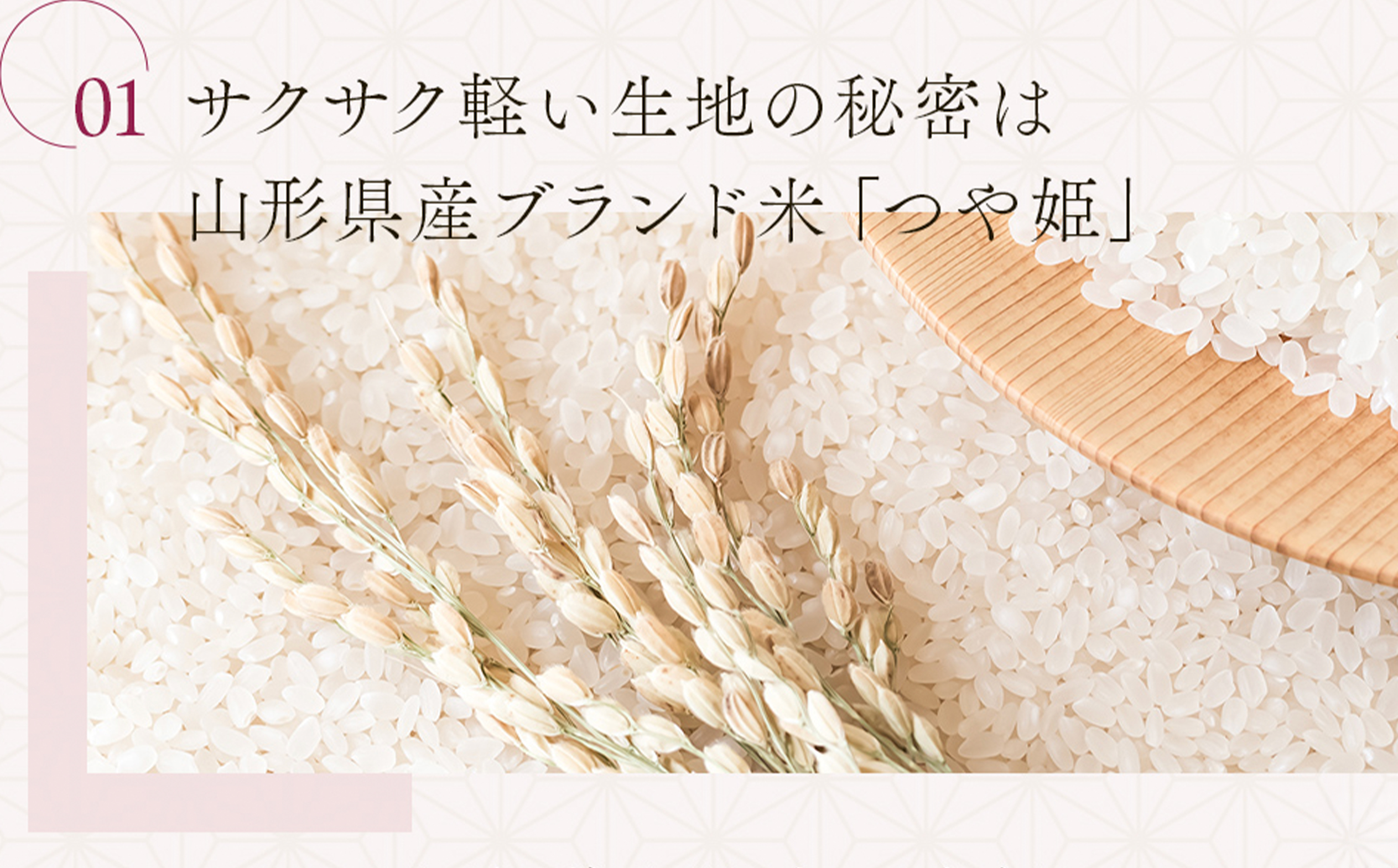 ã·ã¥ãŒã¯ãªãŒã ãããã·ã¥ãŒ 10å ã¹ã€ãŒã æŽèå ãèå ãã¶ãŒã ãã〠ãããã å°Ÿè±æ²¢ éæç¡æ us-swasx10