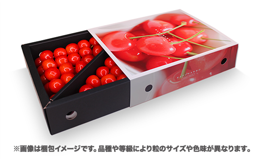 å
è¡äºçŽ ãããã㌠äœè€éŠ 500g Lãµã€ãº ç§å 山圢çç£ ãã©è©° ã¹ãªãŒãç®± 什å8å¹Žç£ 2026å¹Žç£ sb-snslx500