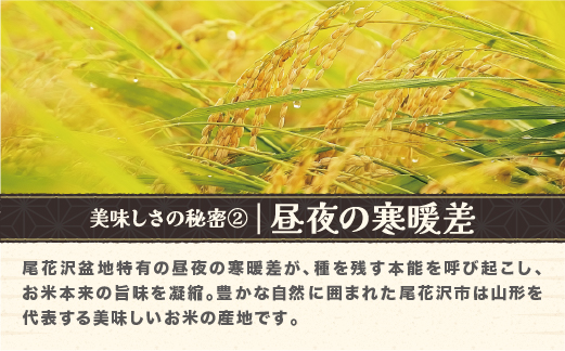 令和7年産 玄米 つや姫 10kg 10kg×1袋 2025年産 米 お米 国産 山形県 尾花沢市 kg-tsgxa10