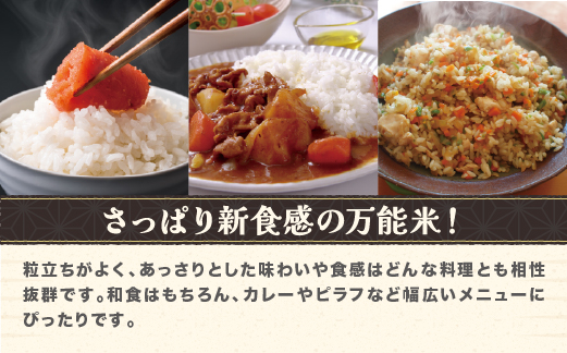 令和7年産 玄米 雪若丸 10kg 配送時期選べる 3月下旬~8月下旬発送 2025年産 米 お米 国産 山形県 尾花沢市 ja-ywgxa10