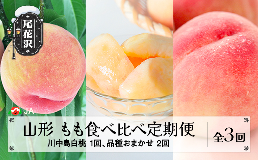 先行予約 全3回 山形もも食べ比べ定期便 秀品 7月下旬頃~発送 令和8年産 2026年産 山形県産  白桃 モモ 果物 フルーツ 送料無料 沖縄・離島への配送不可 JA ja-ftmox-b