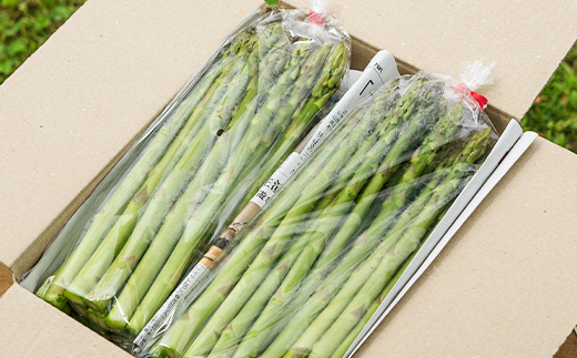 æ°ééå® èš³ãã ãªãããã¢ã¹ãã© 1kg 什å8å¹Žç£ 2026å¹Žç£ in-vgafx1