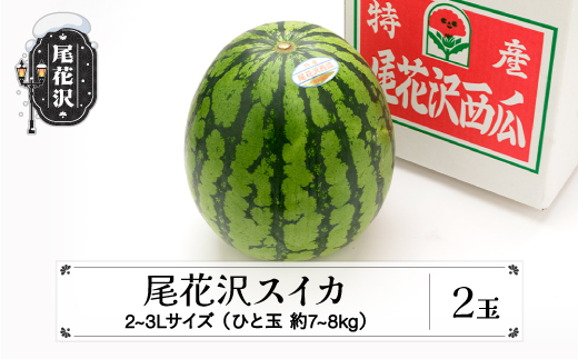 先行予約 尾花沢スイカ 2〜3Lサイズ(約7〜8kg)×2玉 7月下旬〜8月中旬頃発送 令和8年産 2026年産 東根農産センター すいか 西瓜 ※沖縄・離島への配送不可 ns-su23x2