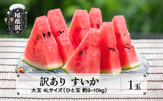 数量限定 訳あり すいか 大玉 4Lサイズ(約9~10kg)×1玉 7月下旬~8月10日頃発送 令和8年産 ※沖縄・離島への配送不可 ja-su4wx1